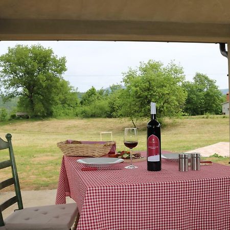 Villa Zwei Zedern Pićan Kültér fotó